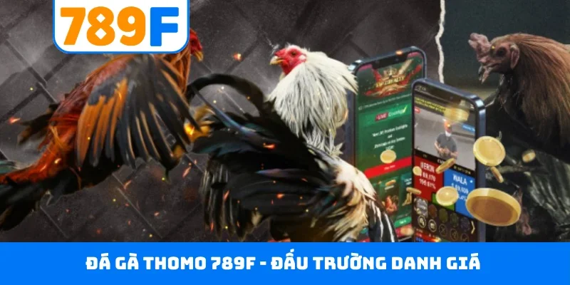 Đá gà Thomo 789F