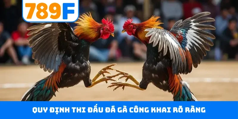 Đá gà 789F Quy định thi đấu đá gà công khai rõ ràng
