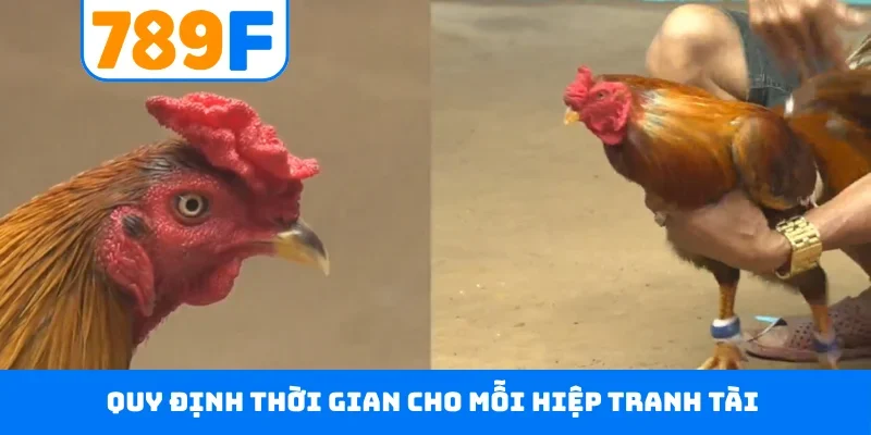 Đá Gà Thomo 789F - Đấu Trường Danh Giá Hàng Đầu Campuchia Quy định thời gian cho mỗi hiệp tranh tài